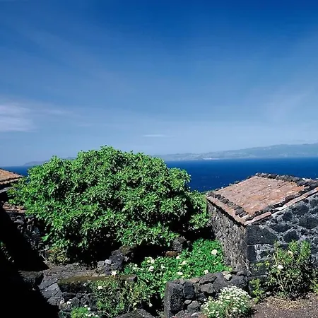 Atafona, Quinta Com Vista De Mar * Santo Antonio (Pico Island)